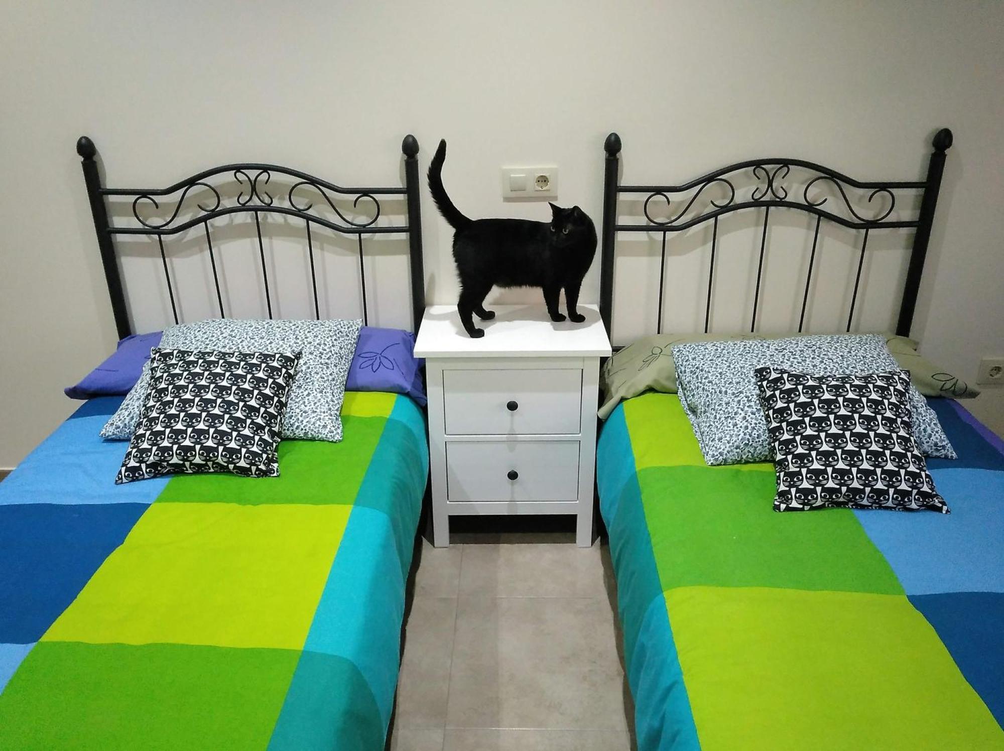 Casa Rural El Gato Negro Trefacio Exteriör bild
