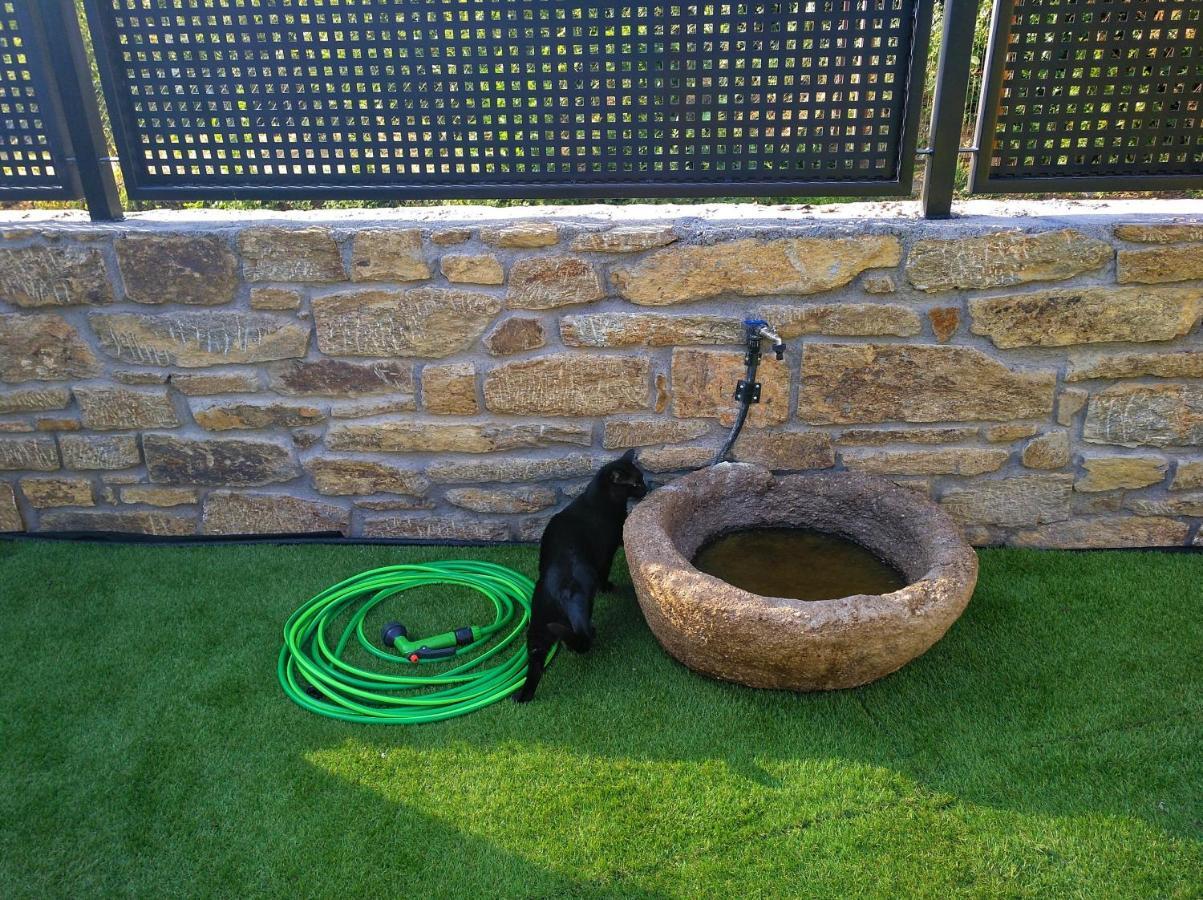 Casa Rural El Gato Negro Trefacio Exteriör bild